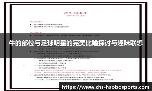 好博体育官网